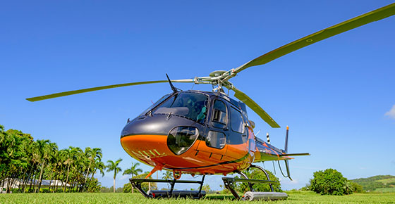 Inter-Hotel Helicopter Transfer in Mauritius
